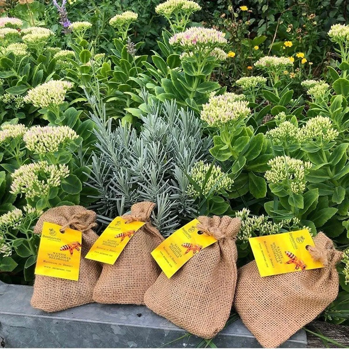 122978268 1075225979600461 6473008391978593340 n