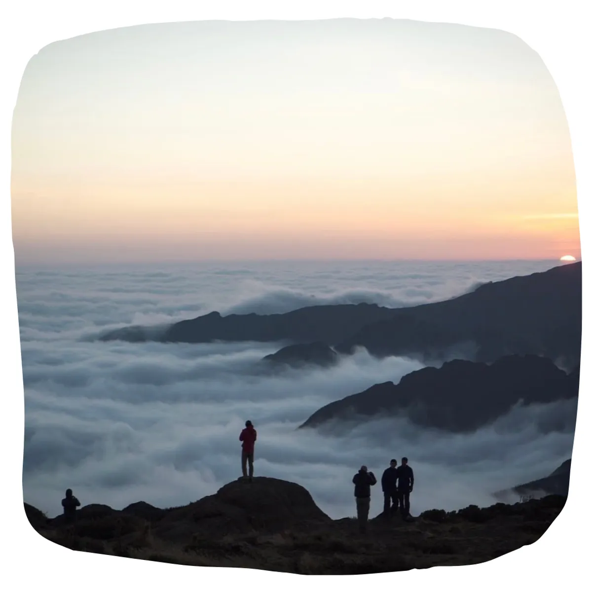 Choose a Challenge Case Study 1